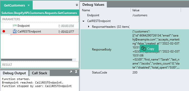 Debug Values